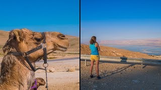 Israel Vlog #7: Fortress of Masada & Petting Camels