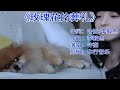 许嵩 玫瑰花的葬礼 完整版 你还记得吗 许嵩 玫瑰花的葬礼 完整版 你还记得吗