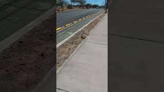 VID-20210502-WA0014