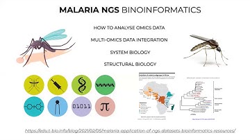 FREE Webinar on Project Discussion on Bioinformatics for Infectious Diseases