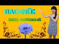 РАСПАКОВКА ПОСЫЛКИ С ПРИМЕРКОЙ ОТ ВАСИЛЬКА