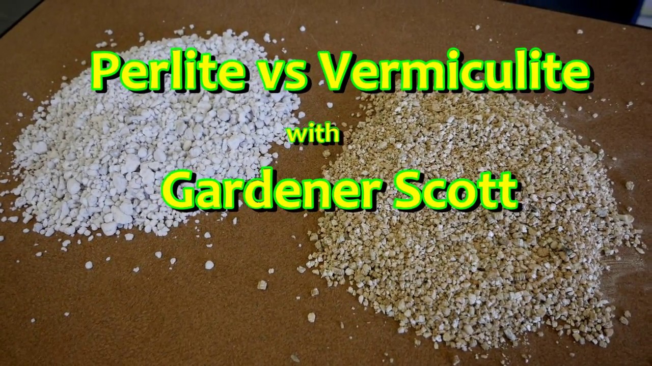 Perlite vs Vermiculite 