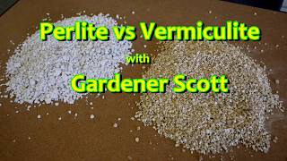 Perlite vs Vermiculite