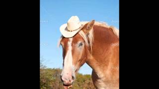 Download Lagu Guitarras De Amor MP3