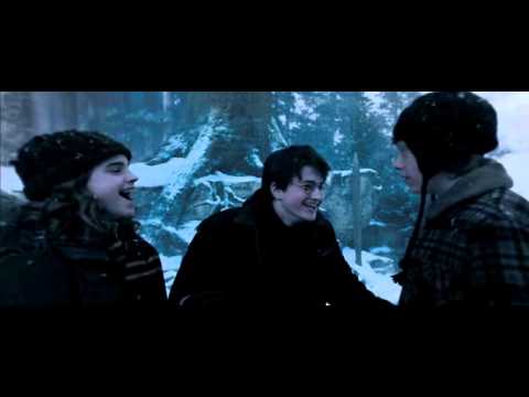 harry potter possessed voldemort