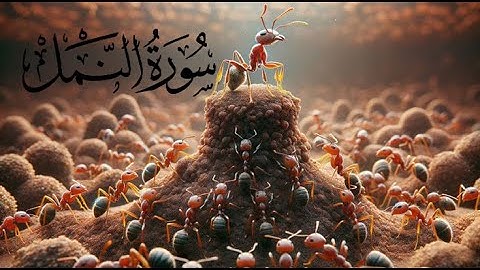 Surah Namal (The Ant) with Urdu Translation  | سورة النمل | Qari Abdul Basit