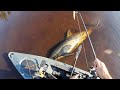 Searching New Holdover Striper Spot - March 2024 New England Fishing