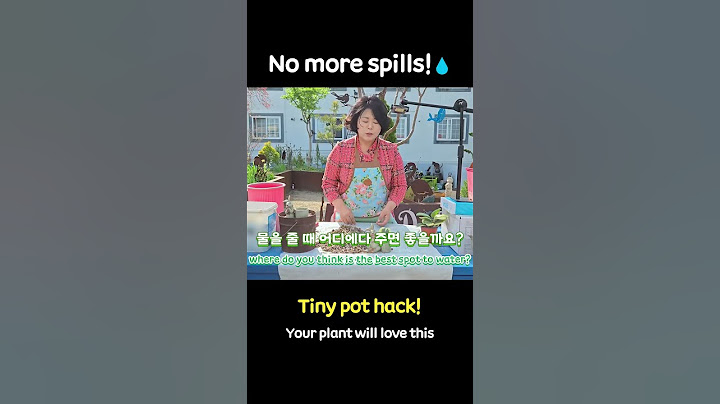 No More Spills When Watering! 💧 | Tiny Pot Hack You Need
