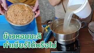 ตอบคำถาม ทำเบียร์จากข้าวหอมมะลิได้หรือไม่