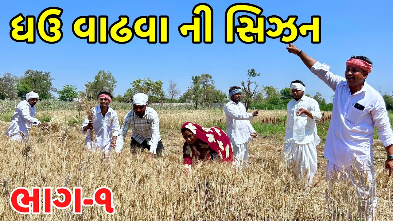 મેઠાભા એ ઘઉં વાઢવાની માથાકૂટ કરી | Ghu vadhavani sijan | Gujarati Comedy Video 