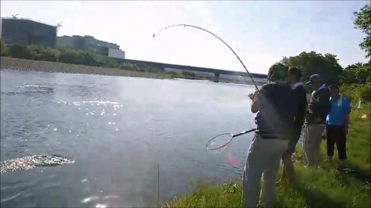 18相模川鯉釣 Youtube