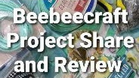 Beebeecraft Project Share and Review #2