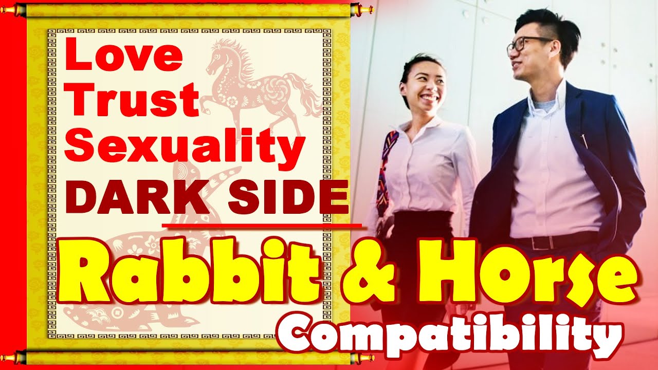 Rabbit and Horse Compatibility in Love, Life, Trust, Intimacy Rabbit