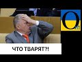 Ну це ж прямо істерика ) вони плачуться та жаліються на Україну!