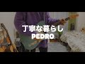 PEDRO 「丁寧な暮らし」guitar cover 【弾いてみた】