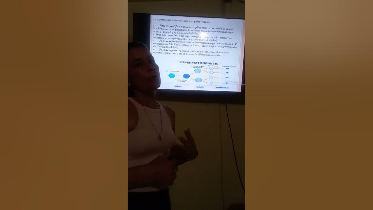 exposición Maribel Benitez YouTube