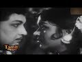 Thottuvida Video Song | Dharmam Thalai Kaakkum Songs | TMS | P. Susheela | MGR | Saroja Devi | SGV