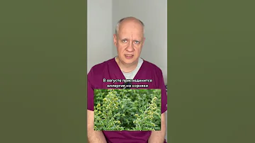 Какие причины сезонной аллергии❓🤧
