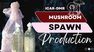 Mushroom spawn production।ICAR-DMR,Solan।vol.3