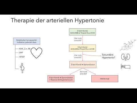 Karolyi & Kuran wiederholt.. Basics #2 arterielle Hypertonie Teil 2