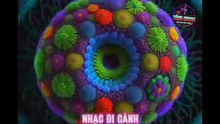 NHẠC ĐI CẢNH - 黄昏 - Huang Hun - REMIX - HOT TIK TOK -  TÍNH MUSIC EDIT