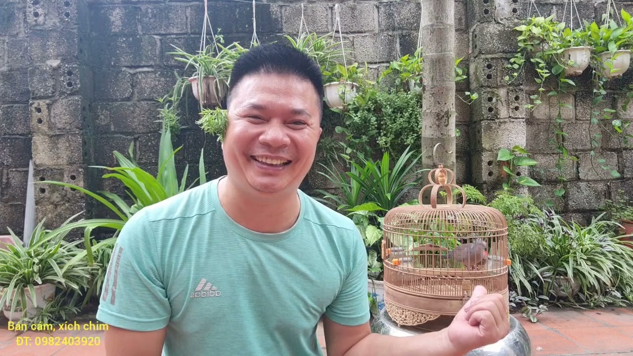 làm sao để cu gáy 'ra giọng'