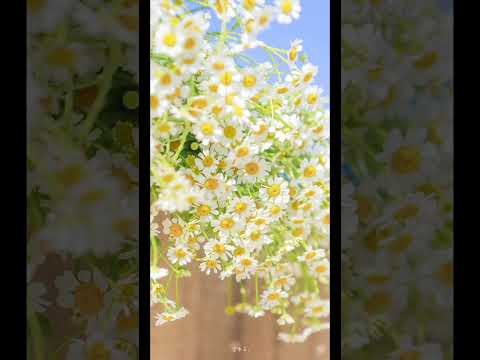 обои на телефон)) делать на разные темы?