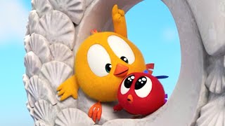 Chicky's journey | Where's Chicky? | Cartoon Collection in English for Kids | New episodes