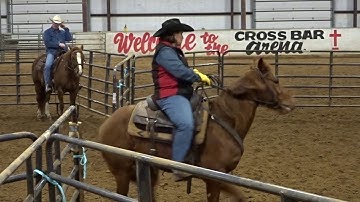 Ranch Sorting 101 - Shelley Fitzgerald - Cross Bar Arena