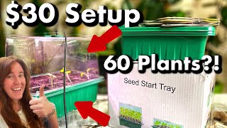 Seed Starting Kit From Amazon... The Lights Work!?