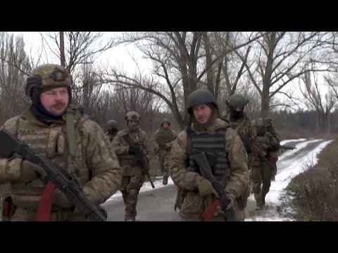 Video: Memo për mercenarët në Afrikë