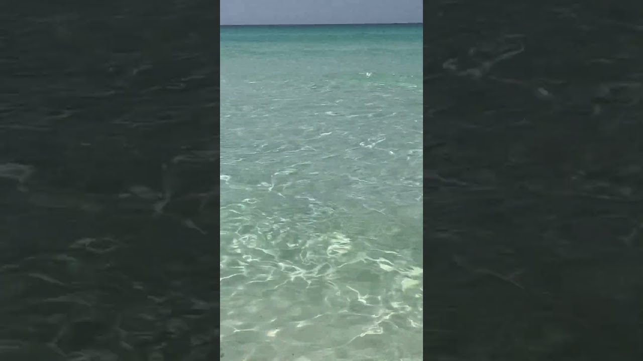 I experienced a Shark attack in Destin Florida