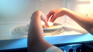 Marshmallow Experiment #1