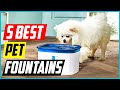 Best Pet Fountains 2021 [Top 5 Picks]