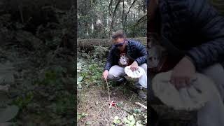 DUNG Beetle Trap