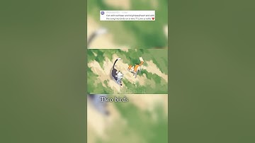 Two birds on a wire #swiftpaw #brightheart #warriorcats