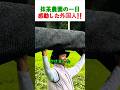 日本の抹茶農園で一日働いた外国人が感動した理由