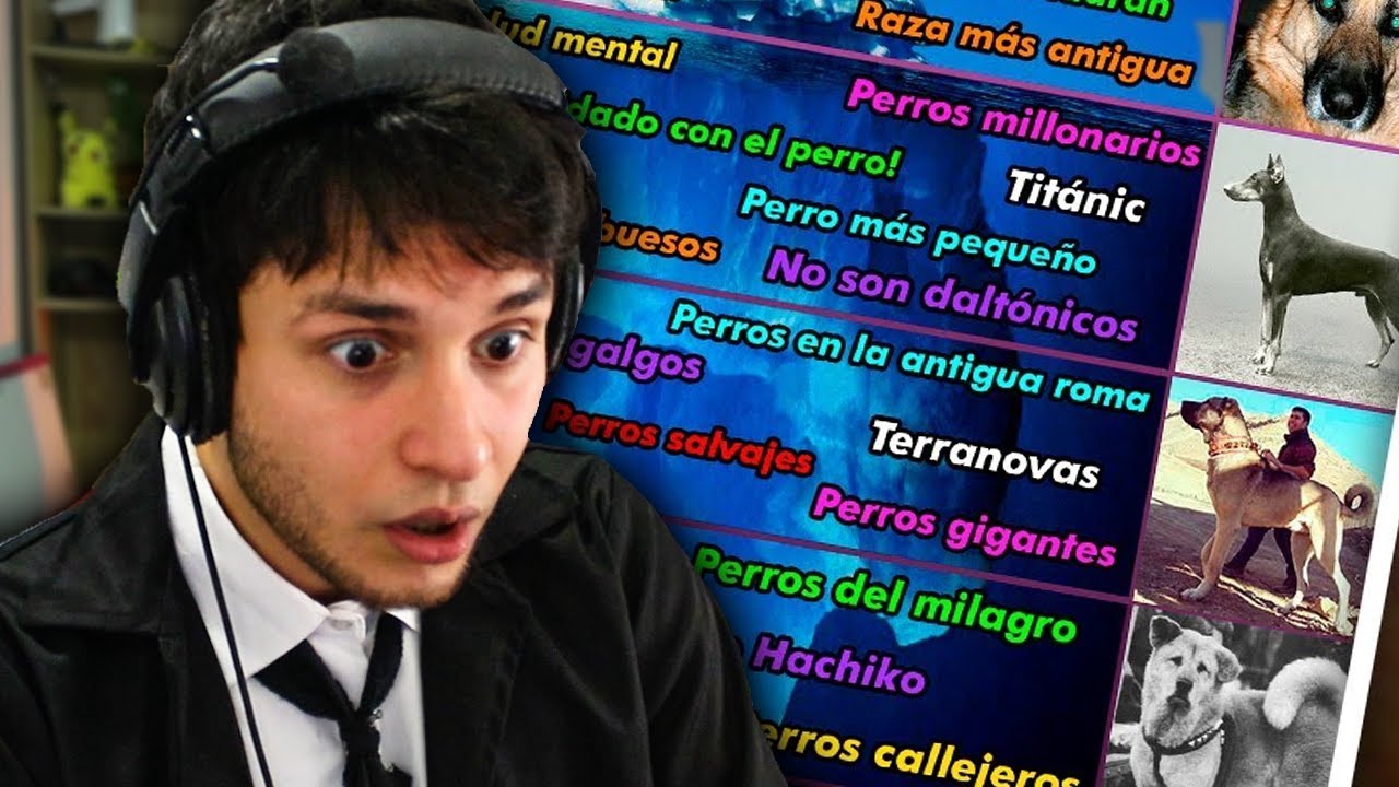 DOUGLAS REACCIONA AL ICEBERG DE LOS PERROS