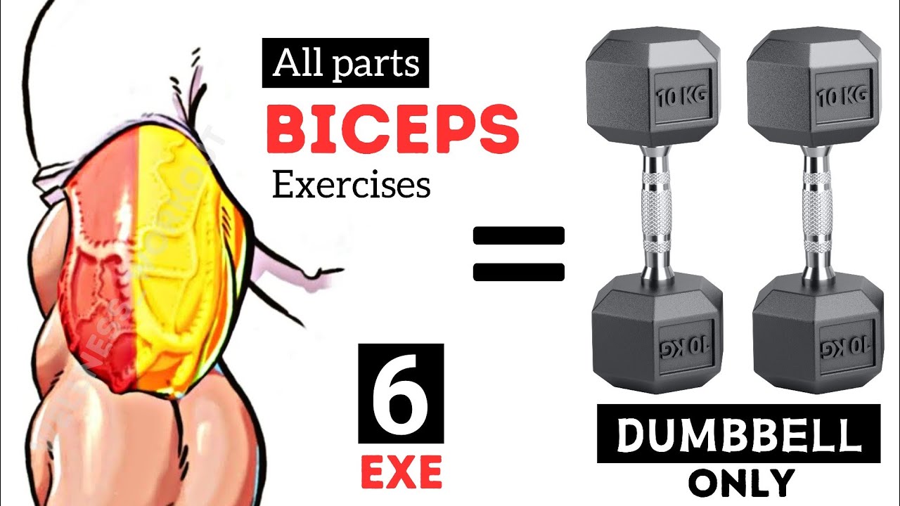 Biceps Workout : 6 Fast And Effective Biceps Exercises