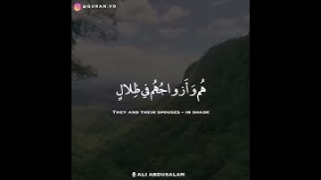 القارئ علي عبدالسلام اليوسف  (حالات واتساب) ماشاءلله