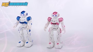 JJR/C R2 CADY WIDA Intelligent Programming Gesture Control Robot RM8660