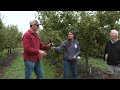 Apple growing fundamentals at 5th crow farm