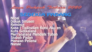 Lagu Pakpak Terpopuler 2020 - Sedekia Padang