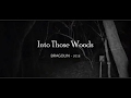    bragolin  into those woods  2018 with lyrics alternative