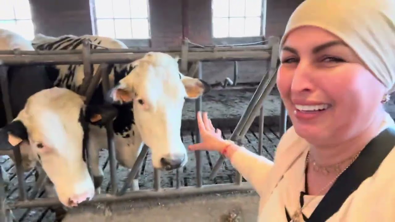 اليوم سمحت في الدار😔وخرجت نشوف البقر 😊