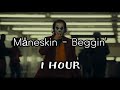 이 노래도 ㅈㄴ 좋아 Måneskin Beggin 1시간 가사해석 1h Lyrics 1HOUR