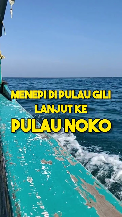 Air Laut Surut di Pulau Noko, Hewan Laut Tampak Jelas di Bawah Air Jernih Laut Dangkal, Bintang Laut
