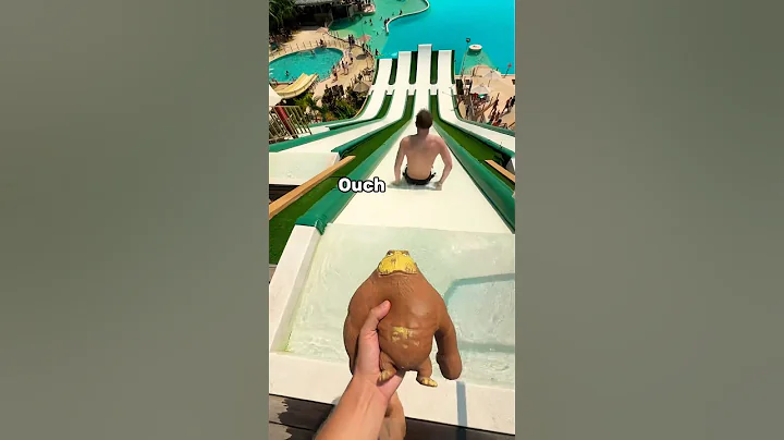 The Squishy Monkey Waterpark Craze, Explained