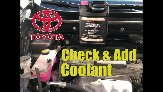 What Kind Of Coolant For Toyota Rav4: Ultimate Guide to Choose Right