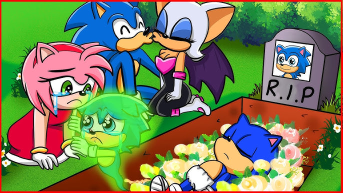 Sonic Sonic and #Amy Amy Growing Up!#LoveStory #animation #fyp